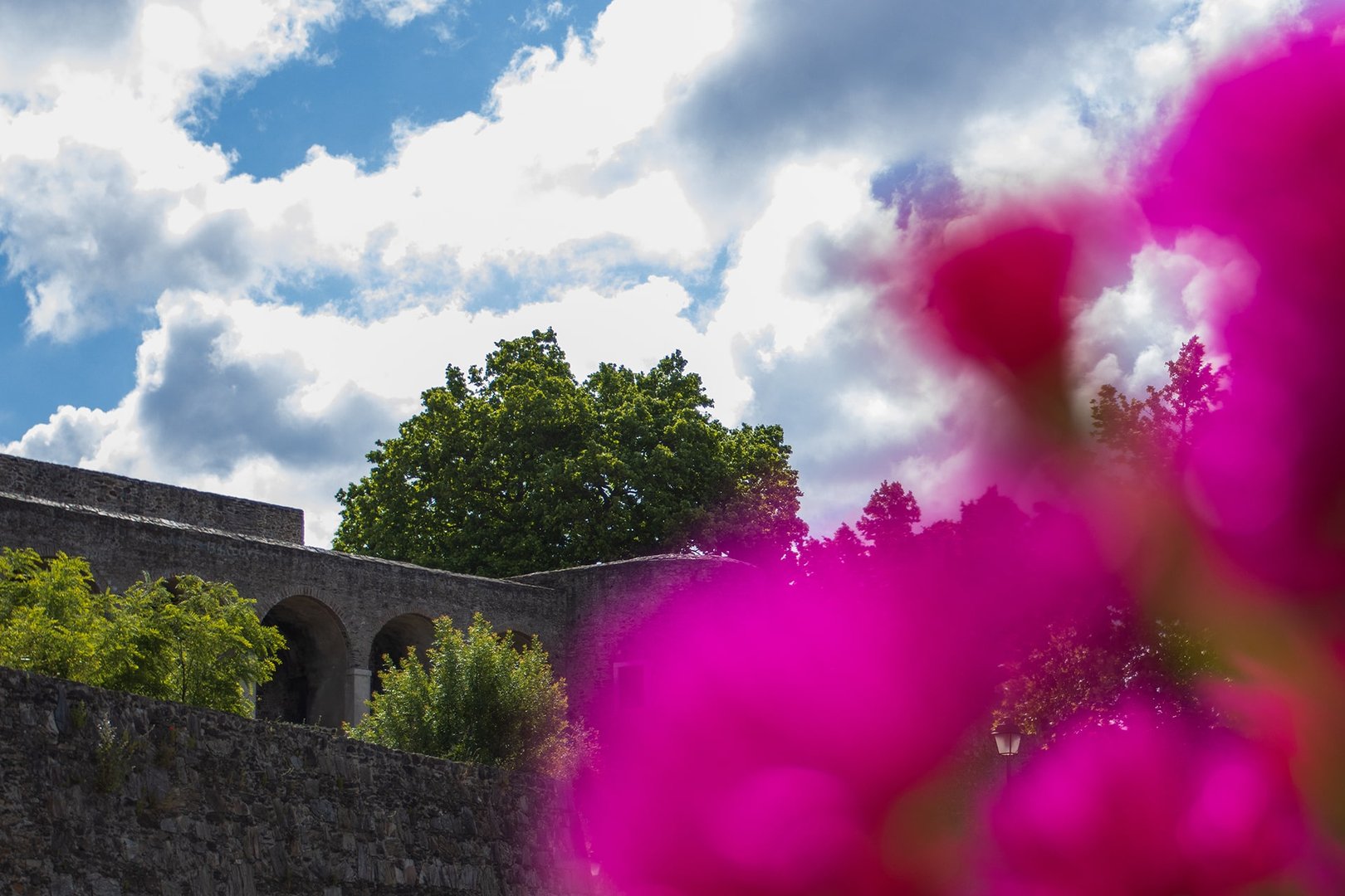 O jardim do castelo possui uma grande diversidade de flores exóticas e da flora portuguesa