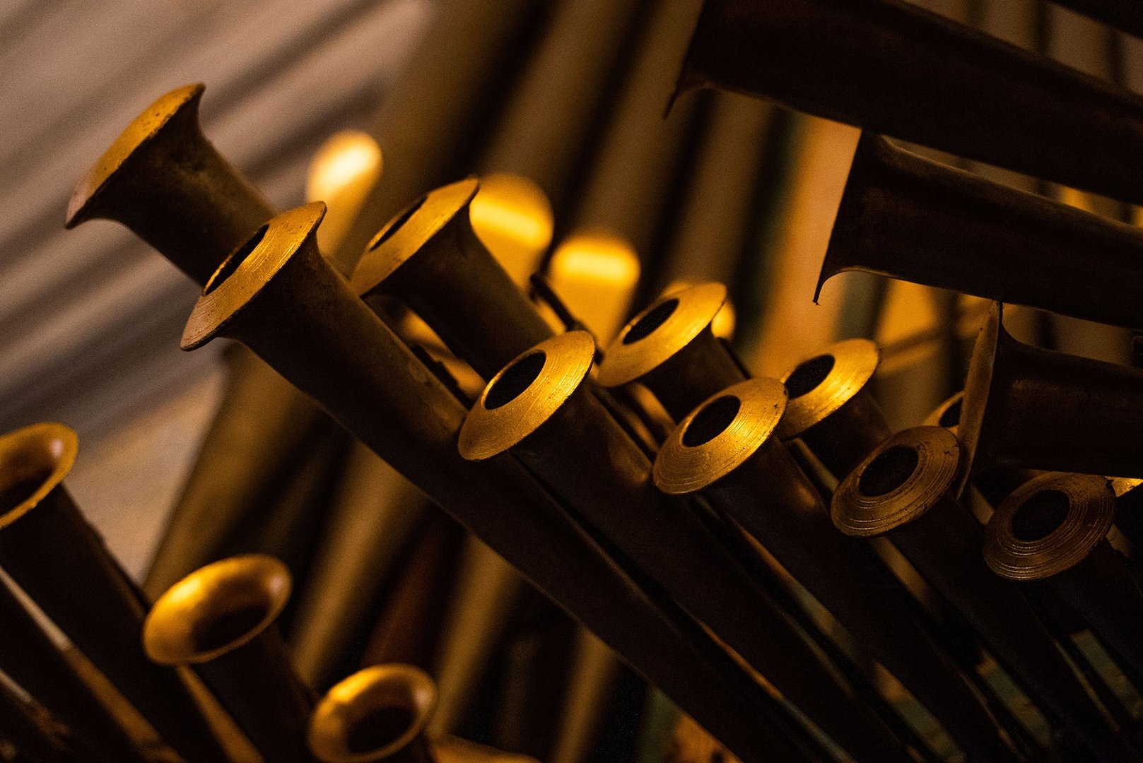 Detail of the Pipe Organ